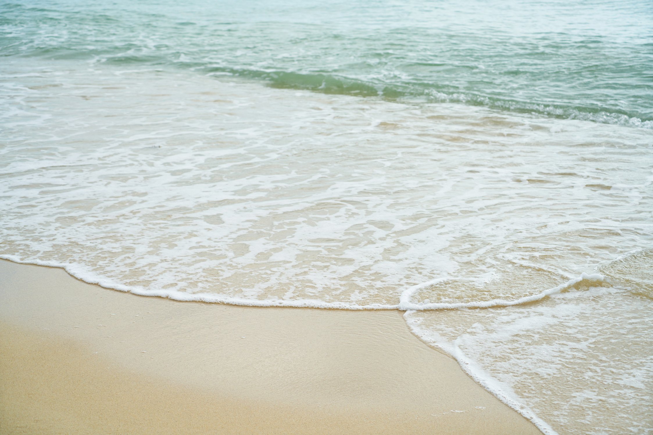 The Beach Wave